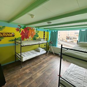 Dormitory Room Mixed